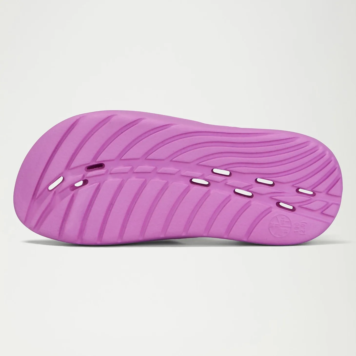 Junior Speedo Slide Violet