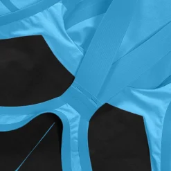Women's Fastskin LZR Pure Valor 2.0 Openback Kneeskin Blue/Red